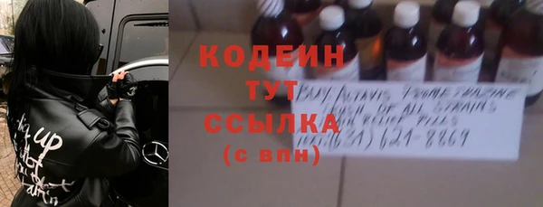 молекула духа Шарыпово