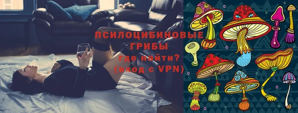 синтетический гашиш Заводоуковск